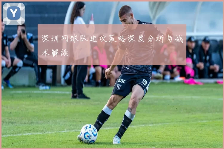 深圳网球队进攻策略深度分析与战术解读