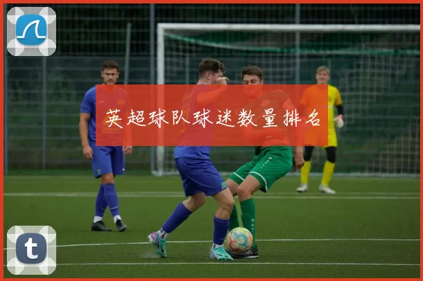 英超球队球迷数量排名