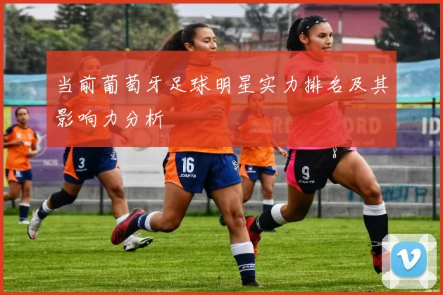 当前葡萄牙足球明星实力排名及其影响力分析
