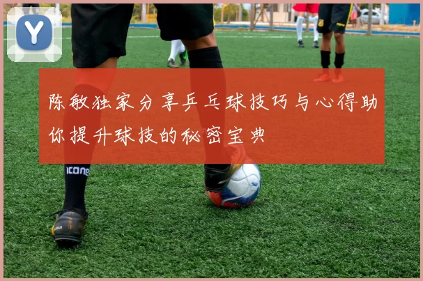 陈敏独家分享乒乓球技巧与心得助你提升球技的秘密宝典
