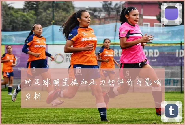 对足球明星施加压力的评价与影响分析