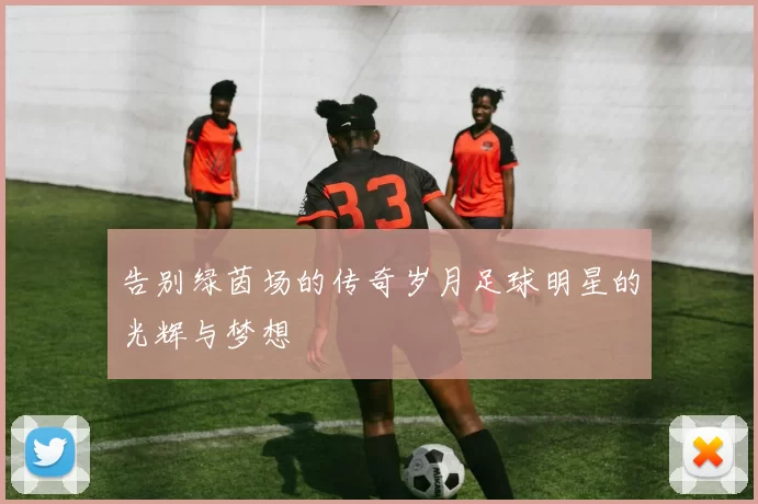 告别绿茵场的传奇岁月足球明星的光辉与梦想
