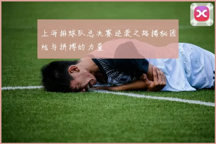 上海排球队总决赛逆袭之路揭秘团结与拼搏的力量