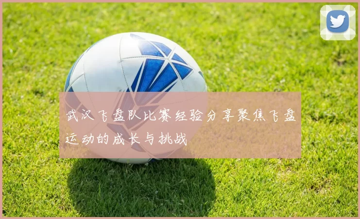 武汉飞盘队比赛经验分享聚焦飞盘运动的成长与挑战