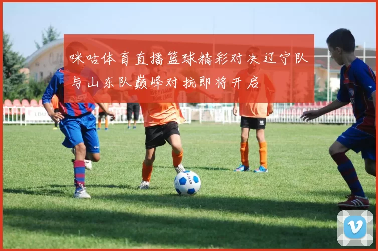 咪咕体育直播篮球精彩对决辽宁队与山东队巅峰对抗即将开启