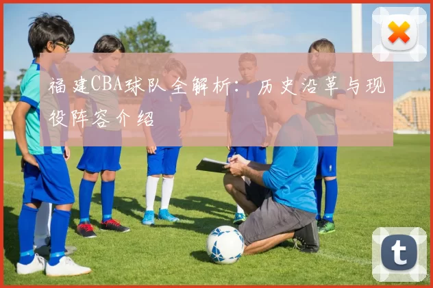 福建CBA球队全解析：历史沿革与现役阵容介绍