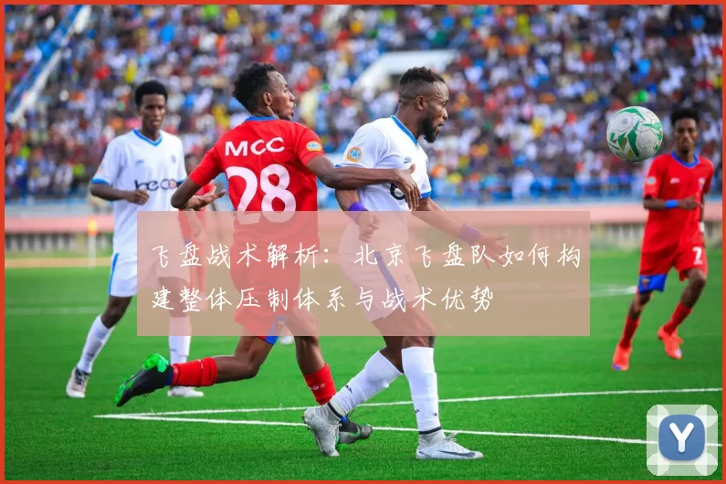 飞盘战术解析：北京飞盘队如何构建整体压制体系与战术优势
