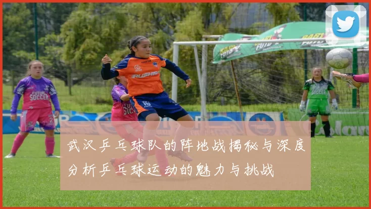 武汉乒乓球队的阵地战揭秘与深度分析乒乓球运动的魅力与挑战