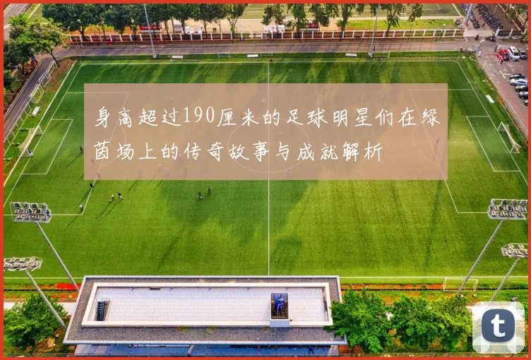 身高超过190厘米的足球明星们在绿茵场上的传奇故事与成就解析