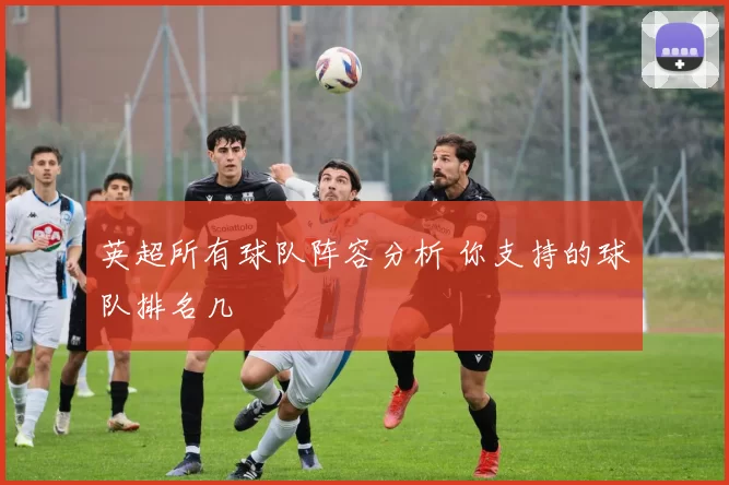 英超所有球队阵容分析 你支持的球队排名几
