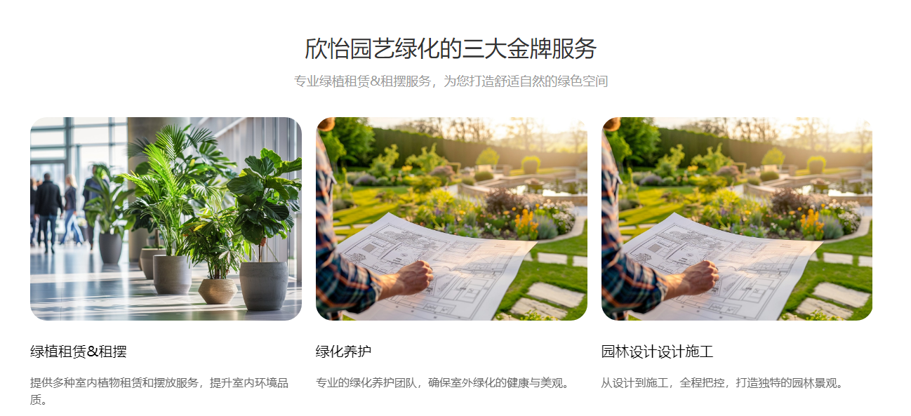 精心设计的荔湾花木植物租赁方案，广州植物租赁中心致力于满足您的需求！