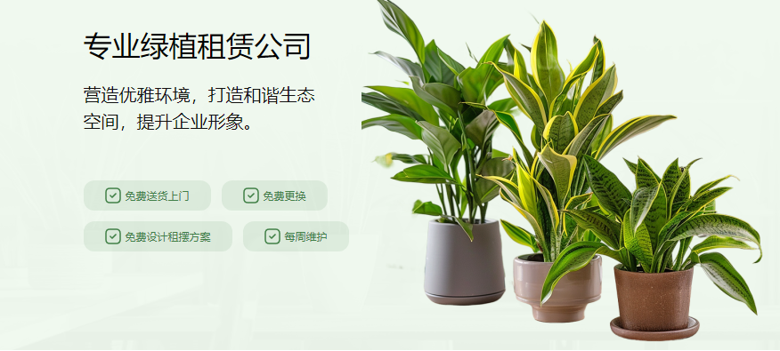 发现禅城花卉绿植租赁方案的魅力，佛山花卉绿植租赁平台为您解析养护时间！