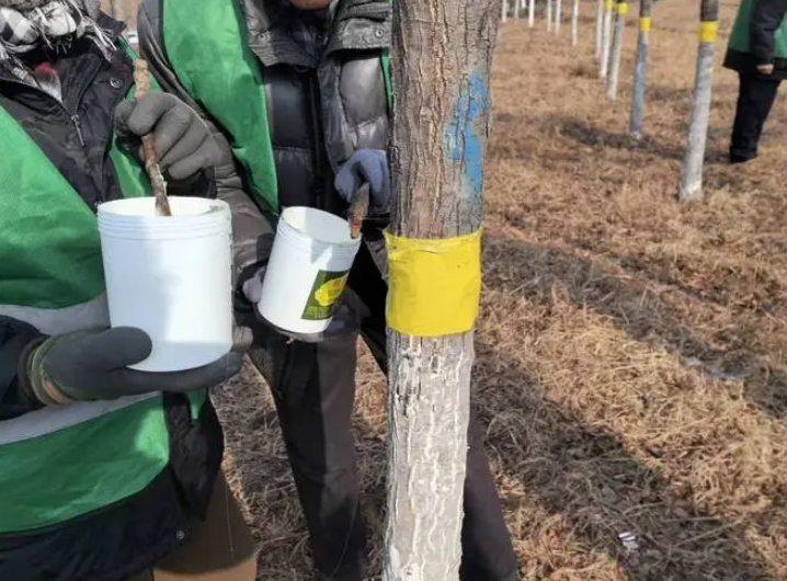 病虫害防治管理